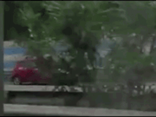 Nữ tài xế lái xe ngược chiều vun vút trên cao tốc Nội Bài - Lào Cai