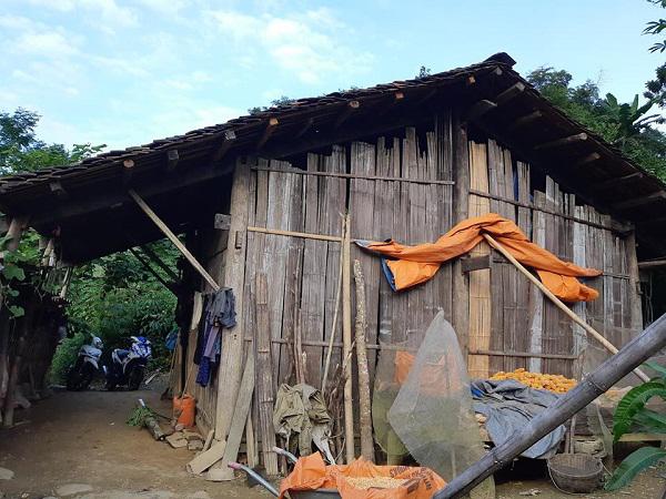 Mẹ bác sĩ giết vợ, phi tang xác: Hải khao khát có một đứa con, nhưng...