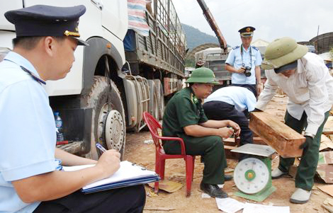Hàng ngàn thanh gỗ quý hiếm cất giấu tinh vi trong các kiện giấy phế liệu