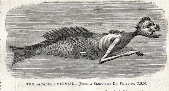 Chuyện kể giật mình về nàng tiên cá có khả năng tiên tri