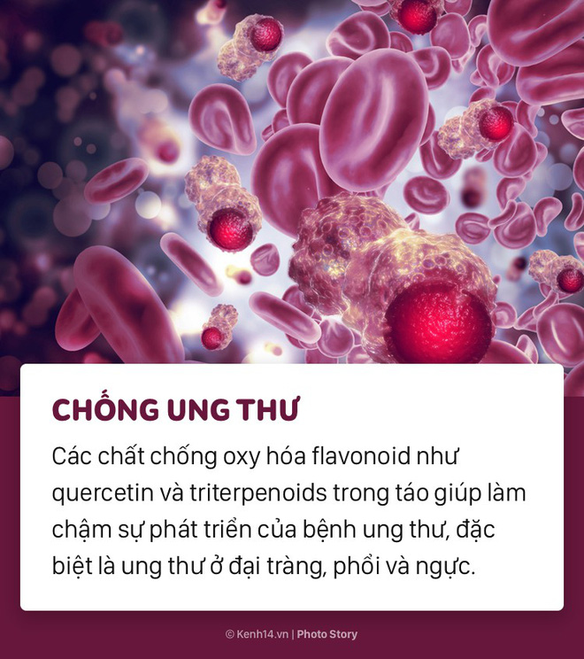 Hãy để táo vào thực đơn hàng ngày bởi những lợi ích bất ngờ này