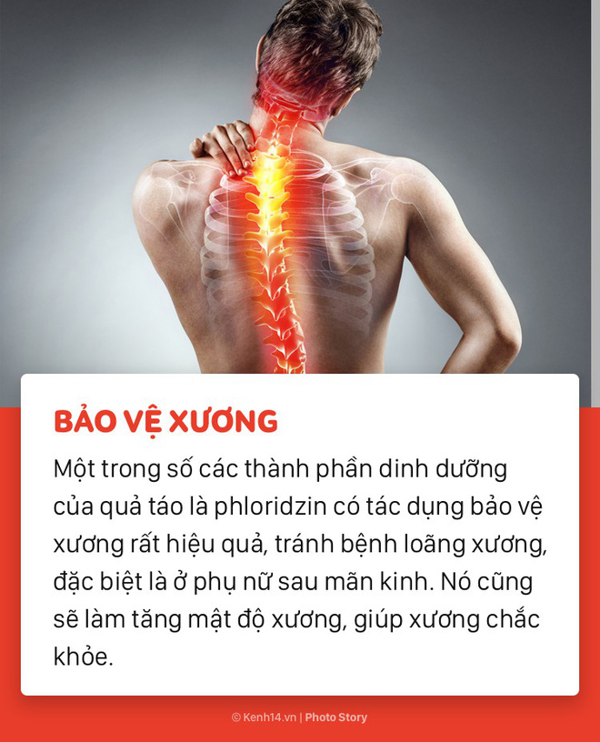 Hãy để táo vào thực đơn hàng ngày bởi những lợi ích bất ngờ này