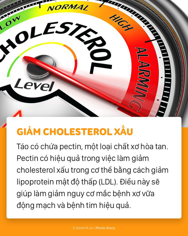 Hãy để táo vào thực đơn hàng ngày bởi những lợi ích bất ngờ này