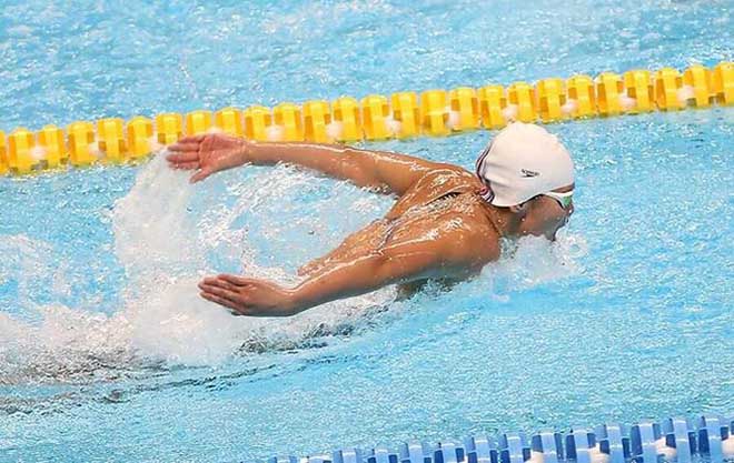 Sự sa sút của kình ngư Ánh Viên: Tắc trách đến thế là cùng