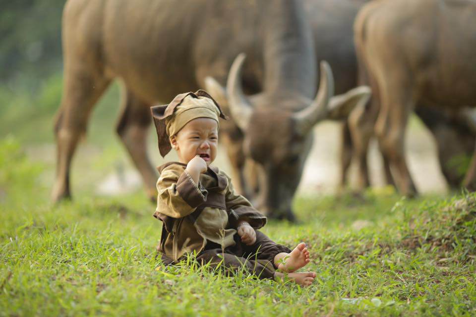50 sắc thái khóc cạn nước mắt của bé Hòa Bình chụp ảnh sinh nhật khiến mẹ cũng bó tay