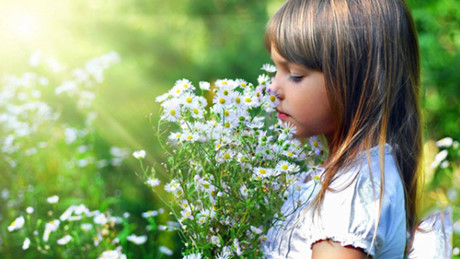 Sắp tới đây 3 con giáp này có tin vui tới tấp, làm ít hưởng nhiều, ngồi không tiền cũng bay vào túi