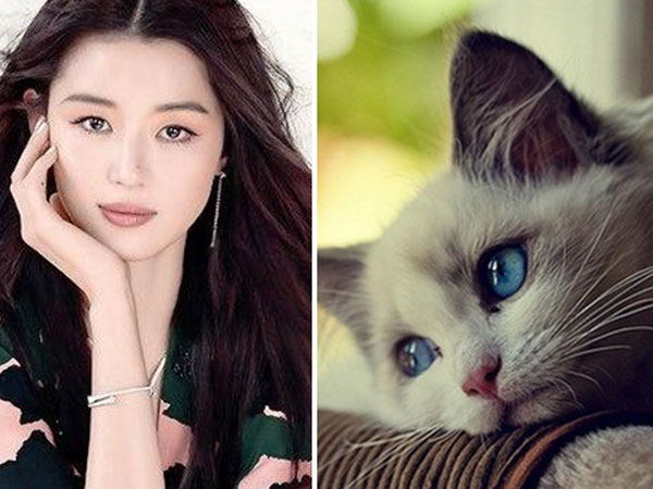 Bị sao chổi nhắm trúng, xin chia buồn với 4 con giáp đen không lối thoát trong dịp Tết Trung Thu Bị sao chổi nhắm trúng, xin chia buồn với 4 con giáp đen không lối thoát trong dịp Tết Trung Thu