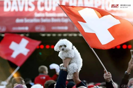 Thói quen ăn thịt chó mèo gây tranh cãi của người dân Thụy Sĩ