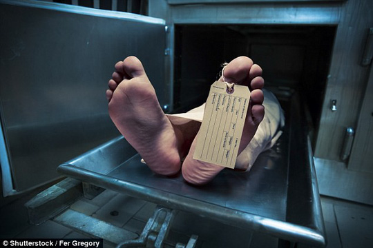 1 người hiến tạng, 3 người nhận đều chết vì “lây” ung thư vú