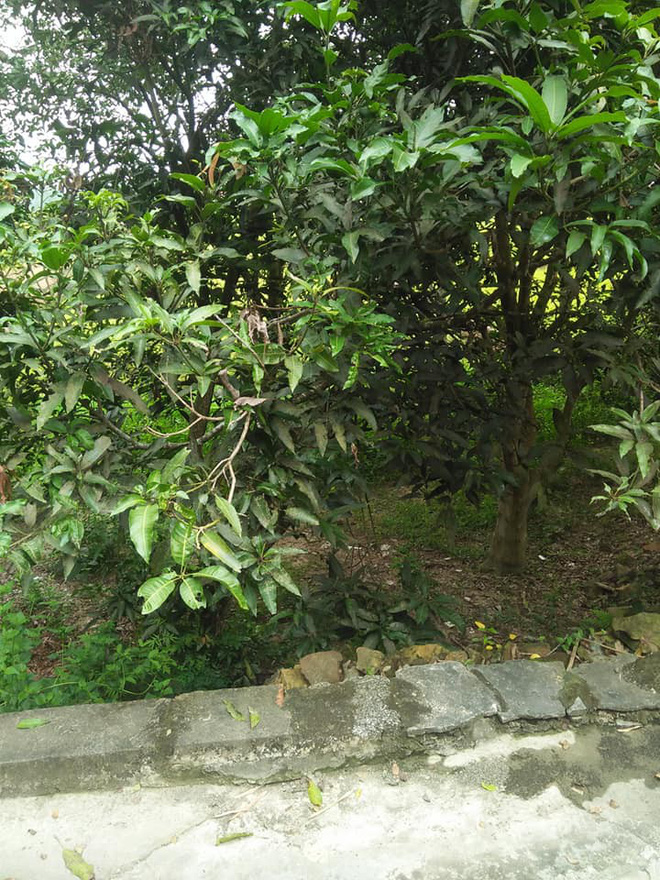 Đăng ảnh nhà cấp 4 lụp xụp, cô gái trẻ đặt câu hỏi Nhà chồng tương lai như vậy, các chị có chạy không ạ?