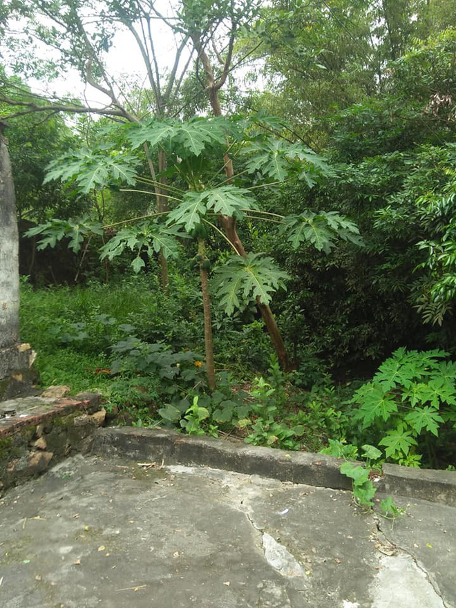 Đăng ảnh nhà cấp 4 lụp xụp, cô gái trẻ đặt câu hỏi Nhà chồng tương lai như vậy, các chị có chạy không ạ?