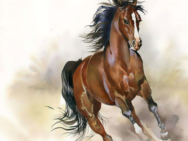 3 con giáp liên tục đón niềm vui: tháng 9 gặp may, tháng 10 giàu có, tháng 11 gặp quý nhân 3 con giáp liên tục đón niềm vui: tháng 9 gặp may, tháng 10 giàu có, tháng 11 gặp quý nhân