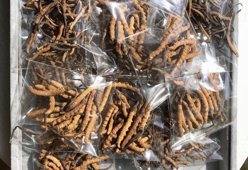 Thưởng trà 2,2 tỷ/kg, đắt hơn vàng ròng: Thú xa xỉ của đại gia Việt