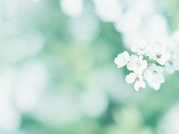 Chủ nhật của bạn (16/9): Xử Nữ tinh tế đến không ngờ