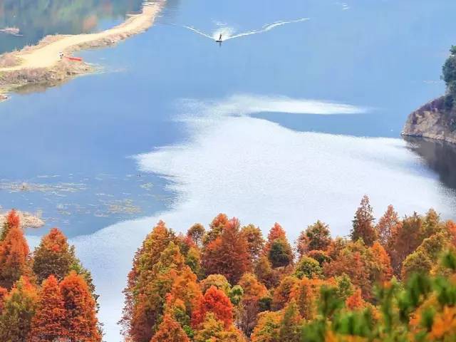 Ngôi nhà bình yên và cuộc sống hạnh phúc của gia đình 3 người đã bán hai mảnh đất ở phố về sống ở ngôi làng cổ