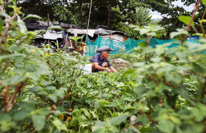 Hiện trạng 4,3 ha đất bị thu hồi sai ở Khu đô thị Thủ Thiêm