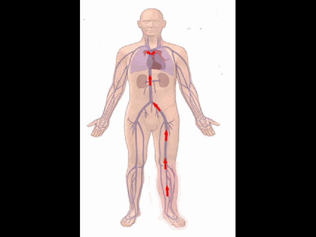 Thói quen chết người dân văn phòng dễ mắc, vì nó chàng trai 28 tuổi đã phải cấp cứu