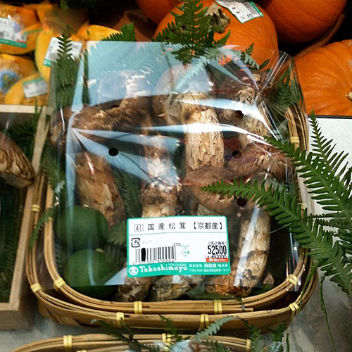 Nấm Matsutake đắt đỏ nhất thế giới đang cháy hàng tại Việt Nam