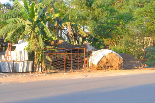 Tiểu thương bán thịt chó ở Hà Nội: Chỉ cần tăng cường kiểm dịch chứ không nên cấm