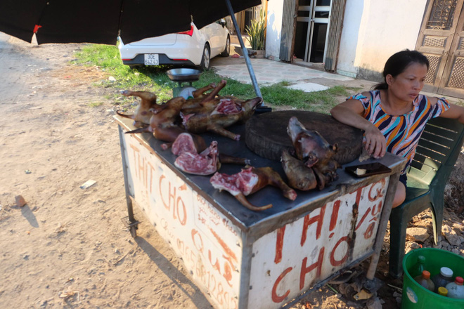 Tiểu thương bán thịt chó ở Hà Nội: Chỉ cần tăng cường kiểm dịch chứ không nên cấm