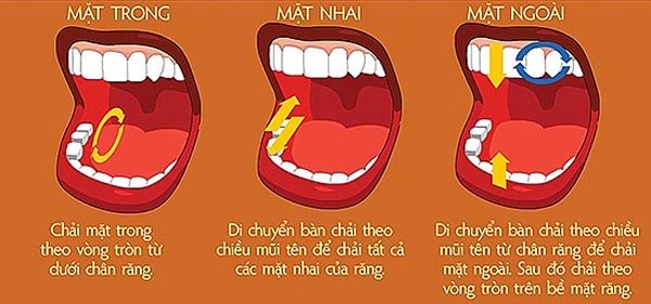 Đánh răng sai cách là nguyên nhân gây ra nhiều bệnh ung thư Đánh răng sai cách là nguyên nhân gây ra nhiều bệnh ung thư