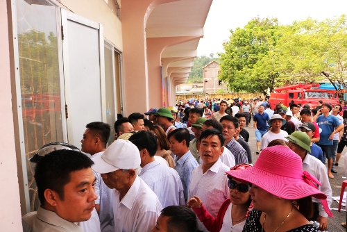 Trâu chọi nặng hơn một tấn ở Đồ Sơn bỏ chạy sau hơn 4 giây cọ sừng