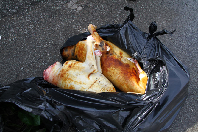 Người bán thịt chó ở TP.HCM nháo nhào khi bị kiểm tra