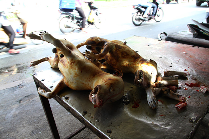 Người bán thịt chó ở TP.HCM nháo nhào khi bị kiểm tra