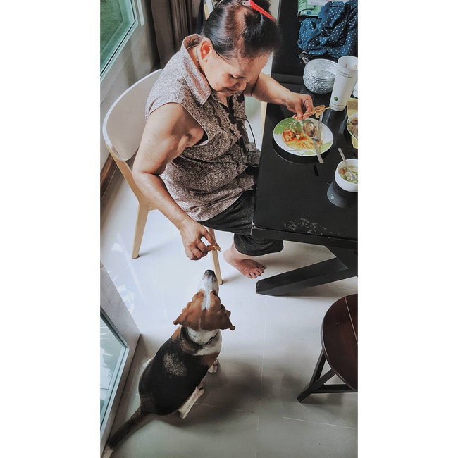 Nàng dâu kể khổ chuyện nai lưng phục vụ... chó của mẹ chồng: Cháu mới sinh bà không bế, chỉ hỏi hôm nay chó ăn gì