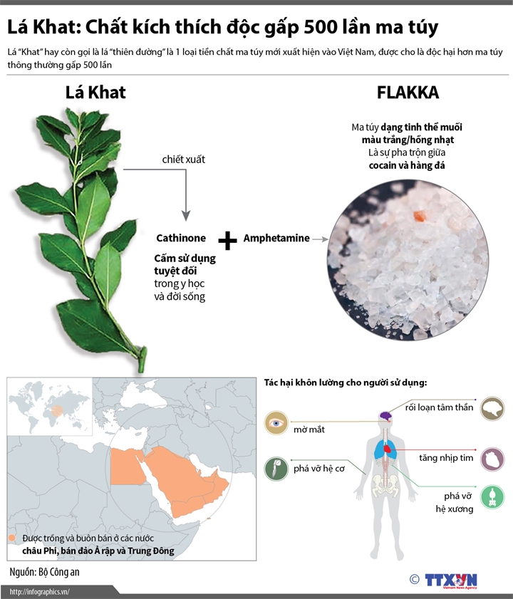 6 loại ma túy thế hệ mới cực nguy hiểm vừa xuất hiện ở Việt Nam