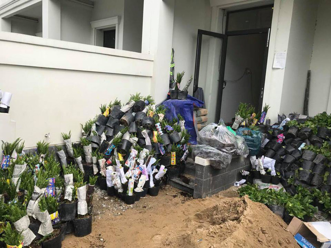 23 tuổi, Hương Tràm mua biệt thự rộng rãi, trồng hàng trăm cây xanh