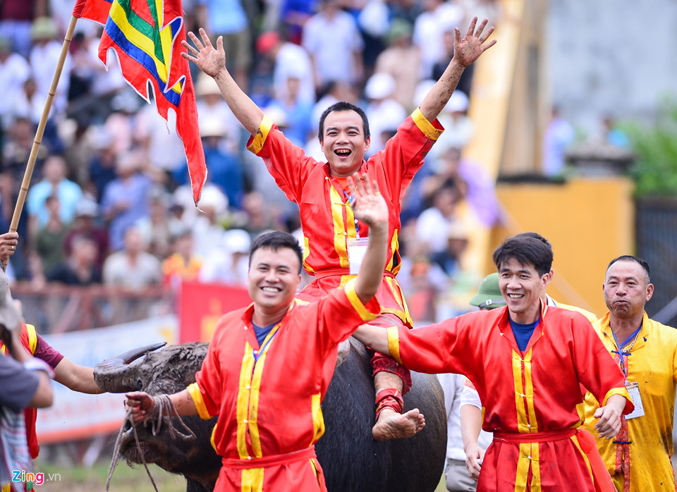 Khán giả gây hỗn loạn khi hội chọi trâu Đồ Sơn mở cửa miễn phí
