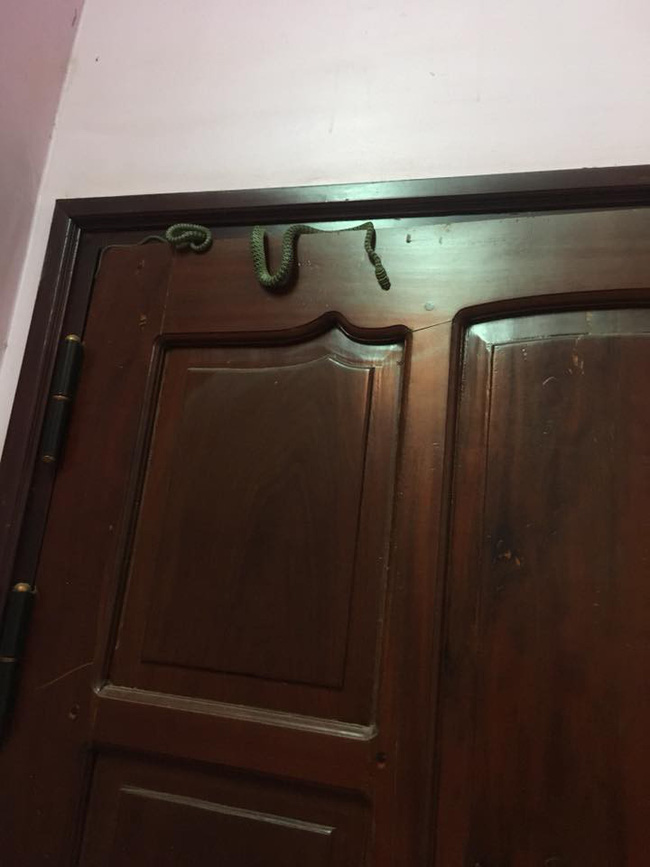 Gặp cảnh kinh dị lúc nửa đêm, cô gái không nao núng mà còn làm hành động này khiến cánh mày râu cũng phải ngưỡng mộ