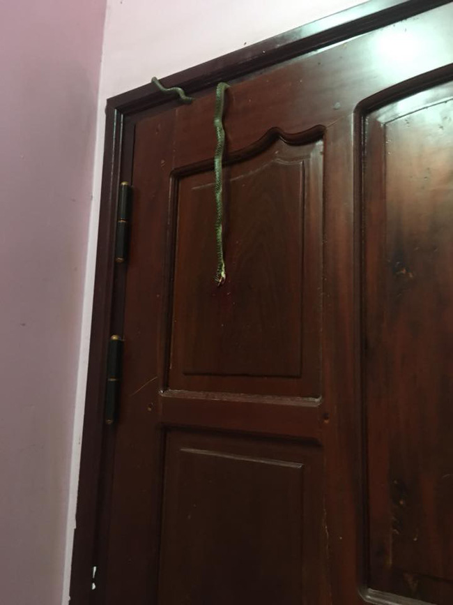 Gặp cảnh kinh dị lúc nửa đêm, cô gái không nao núng mà còn làm hành động này khiến cánh mày râu cũng phải ngưỡng mộ