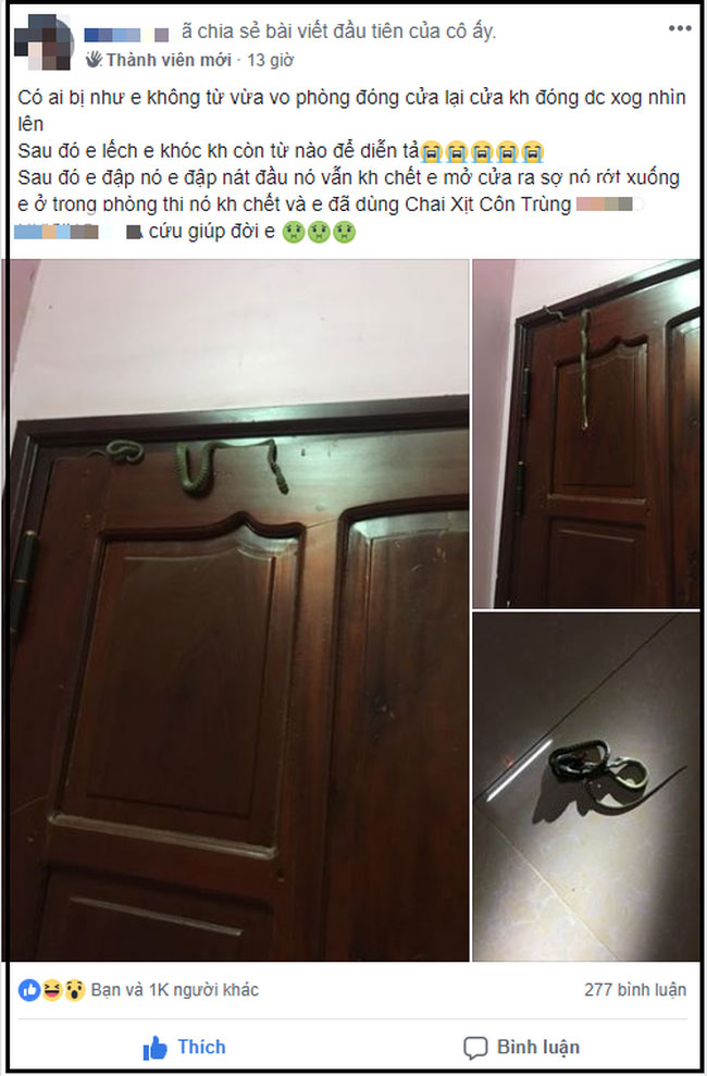 Gặp cảnh kinh dị lúc nửa đêm, cô gái không nao núng mà còn làm hành động này khiến cánh mày râu cũng phải ngưỡng mộ