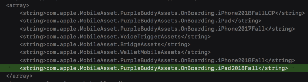 iOS 12.1 beta tiết lộ về chiếc iPad mới iOS 12.1 beta tiết lộ về chiếc iPad mới