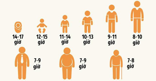 Ngủ bao nhiêu giờ/ngày là đủ: Không phải 8h, nhà khoa học đưa ra đáp án khác rất chính xác