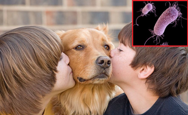 Bất cứ ai cũng sẽ phát hoảng khi biết nguyên nhân sâu sa khiến người đàn ông này bị cắt cụt tứ chi và mũi