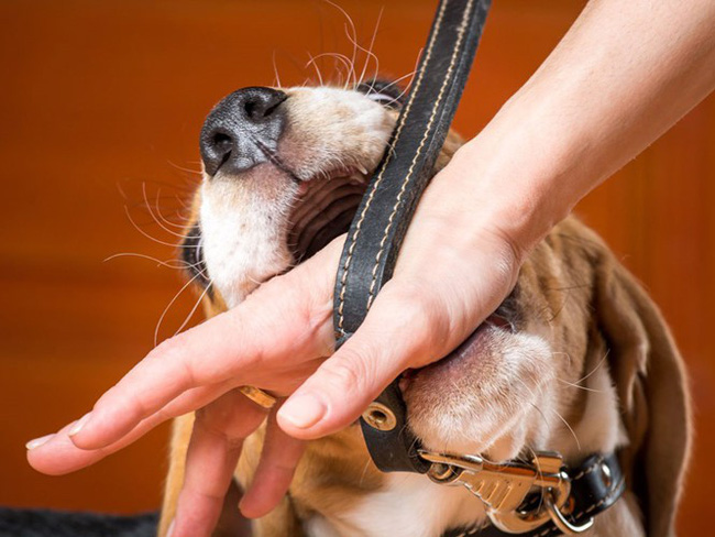 Bất cứ ai cũng sẽ phát hoảng khi biết nguyên nhân sâu sa khiến người đàn ông này bị cắt cụt tứ chi và mũi