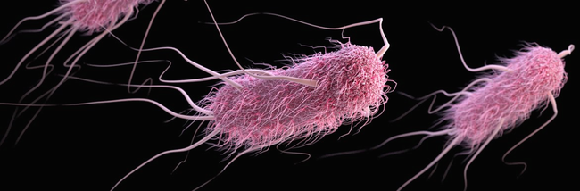 Bất cứ ai cũng sẽ phát hoảng khi biết nguyên nhân sâu sa khiến người đàn ông này bị cắt cụt tứ chi và mũi