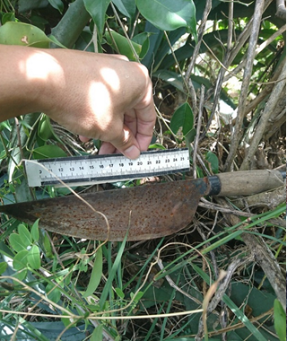 Gia Lai: Em trai nợ tiền không trả, chị gái 21 tuổi bị nam thanh niên đâm nguy kịch khi đang ngủ