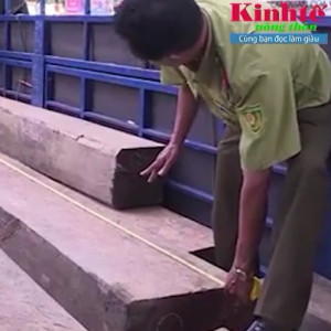 Đắk Lắk: Bắt giữ xe tải vận chuyển 31 khúc gỗ lậu