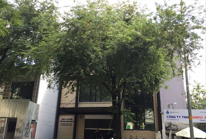 Vũ nhôm thôn tính đất vàng: Ai hà hơi, tiếp sức?