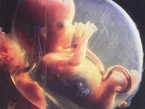 Siêu âm phát hiện nhau thai có chấm đen bí ẩn, bác sĩ cảnh báo mẹ bầu nên cẩn thận với điều này