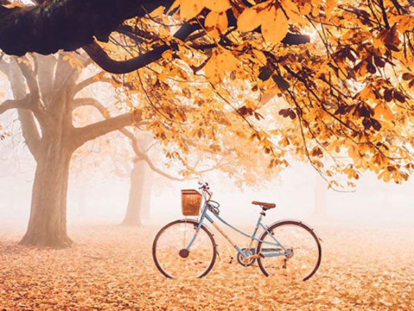 Thứ Năm của bạn (20/9): Xử Nữ chỉ thích làm theo ý mình