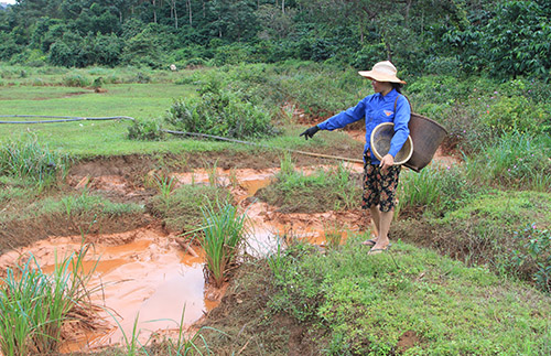 Hồ tuyển quặng đuôi của nhà máy Alumin Nhân Cơ bị tràn