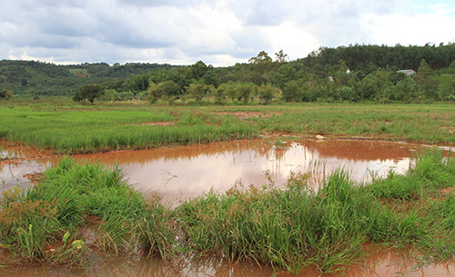 Hồ tuyển quặng đuôi của nhà máy Alumin Nhân Cơ bị tràn
