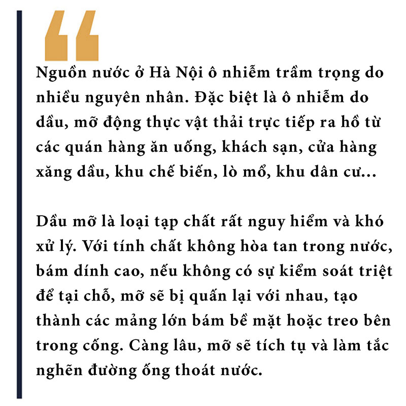 Giật mình sông hồ thành... vũng nước thải