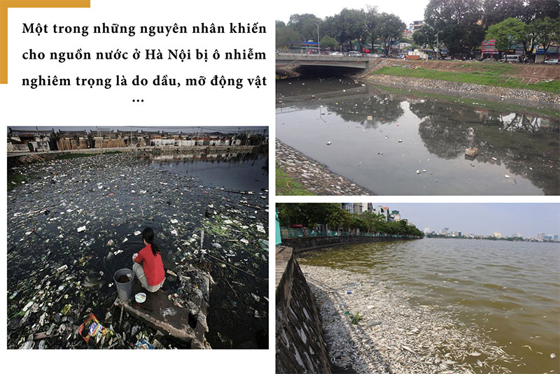 Giật mình sông hồ thành... vũng nước thải