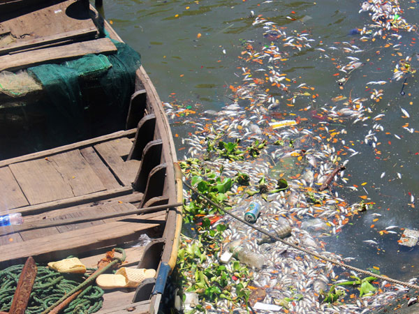 Giật mình sông hồ thành... vũng nước thải